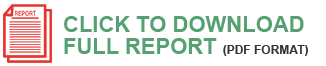 pdf-report_download